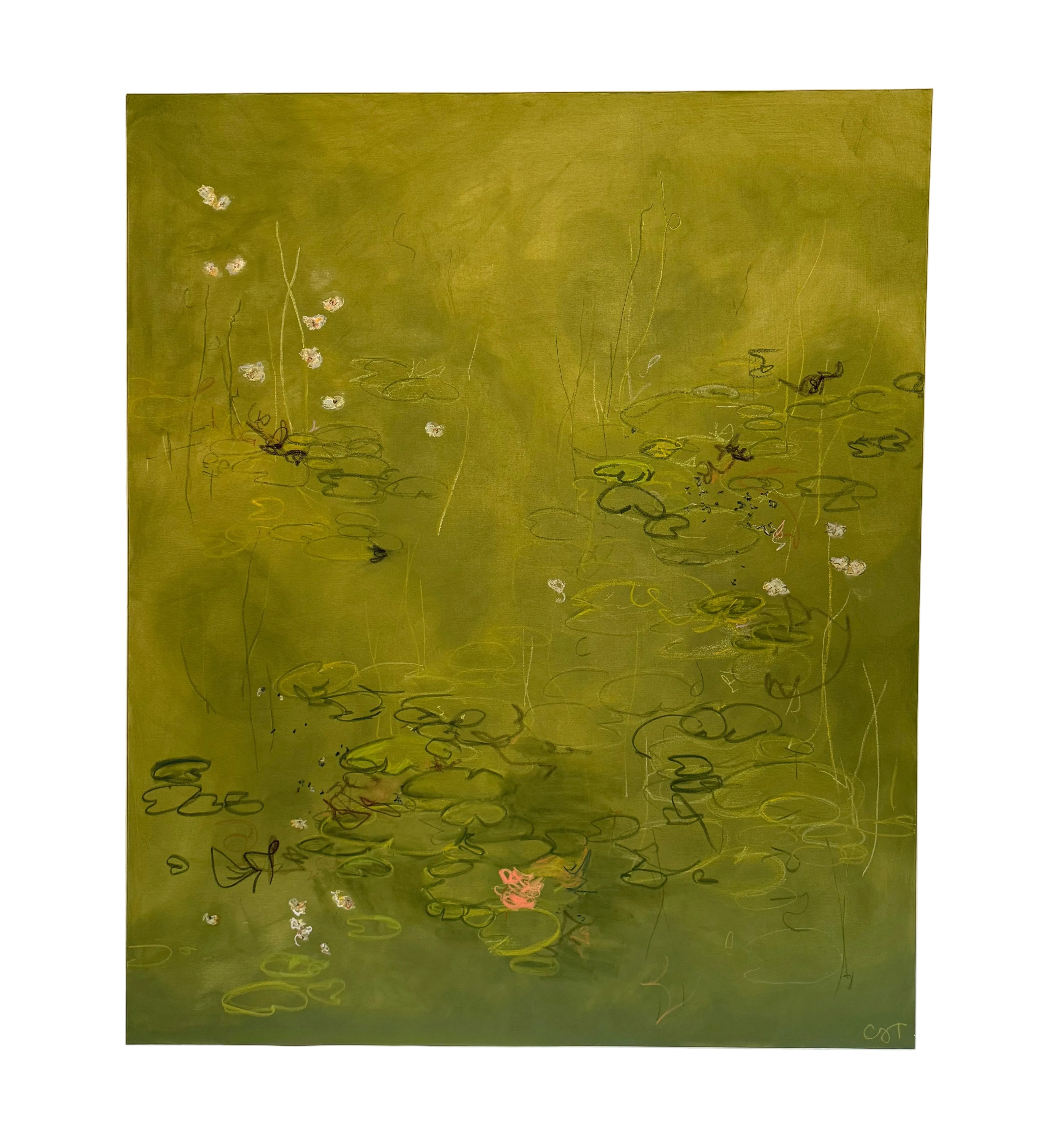 Water Lily Series #31 | 60 x 70